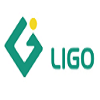 LG IMPORT AND EXPORT CORPORATION